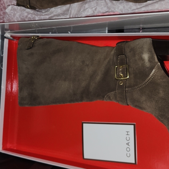 NIB Coach A7284 Suede Robynn Heeled Boots in Flint Goldtone Hardware Sz 9 $528 - Picture 5 of 9